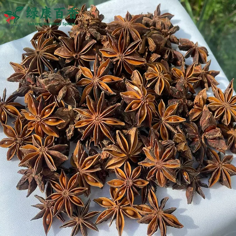 Fangchenggang star anise origin and bulk supply